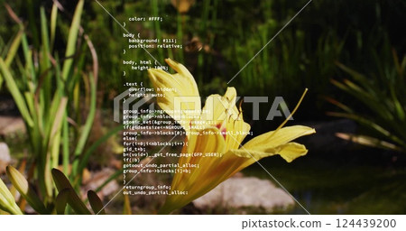 Image of data processing over yellow flower and bee Image of data processing over yellow flower and bee 124439200