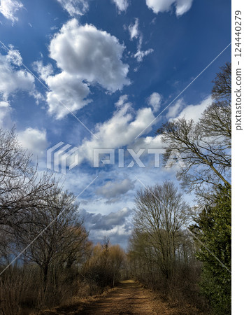 Cloudscape - Blue sky and clouds Cloudscape - Blue sky and clouds 124440279