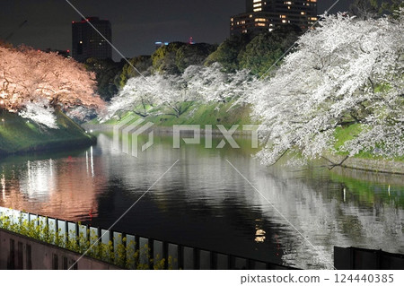 櫻花在晚上 櫻花在晚上 124440385