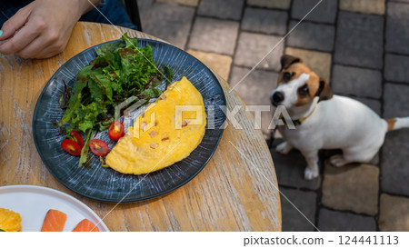 Jack Russell begging the owner in a street cafe. Woman having breakfast in dog friendly outdoor cafe. Jack Russell begging the owner in a street cafe. Woman having breakfast in dog friendly outdoor cafe. 124441113