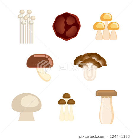 mushroom  124441353