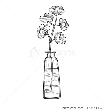 Delicate botanical flower in glass vase sketch perfect for spa decor, calm interiors, aromatherapy visuals, or elegant minimal illustrations 124441432