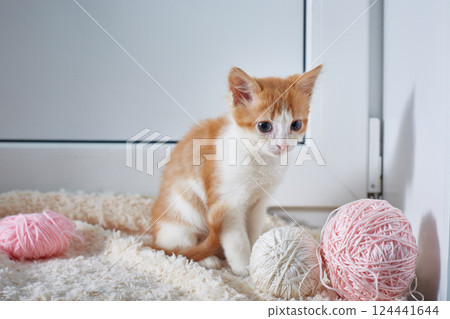 kitten with balls of thread on a light background 124441644