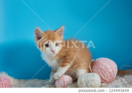 Cute kitten sitting next to balls of wool Cute kitten sitting next to balls of wool 124441649