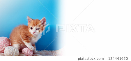 Banner with a red-haired little kitten. White background with a copy space. billboard for a veterinary clinic or pet store. Banner with a red-haired little kitten. White background with a copy space. billboard for a veterinary clinic or pet store. 124441650