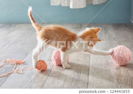 kitten is playing on the floor with balls of wool. Lifestyle. 124441655