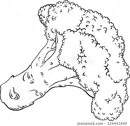 Broccoli Vegetable Outline llustration. 124441849