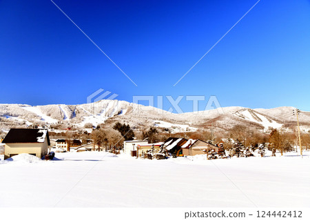 菅平高原/松喙大松坡眺望處（長野縣上田市）[2025.3] 124442412
