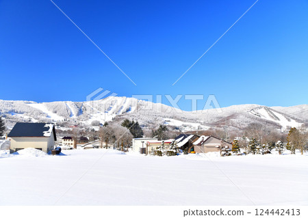 Sugadaira Plateau / View towards Pinebeak Omatsu slope (Ueda City, Nagano Prefecture) [2025.3] 124442413