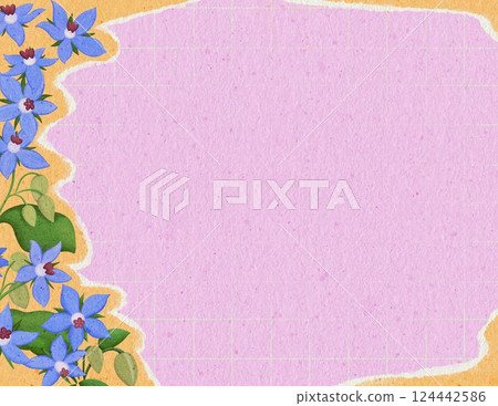 Edible flower torn paper background for Borage flower Edible flower torn paper background for Borage flower 124442586