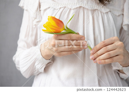 woman in light-colored clothes holds a yellow-red tulip in her hands. minimalism. happy birthday 124442623