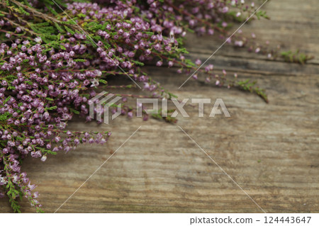 Purple heather flowers on wooden background with copy space. Calluna vulgaris flower. 124443647