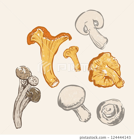Watercolor mushrooms set. Hand-drawn harvest. Tasty food illustration for restaurant and cafe interior, veggie market drawing print, fabric or background. 124444143