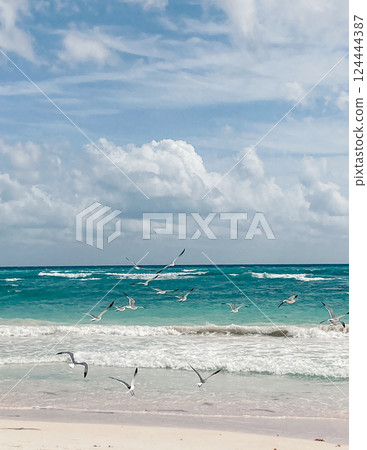 Waves rolling onto the white sandy beach on a sunny day with seagulls flying over the blue sea. Vertical photo 124444387