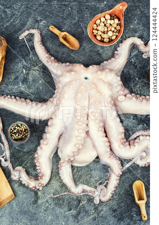Fresh raw octopus. 124444424