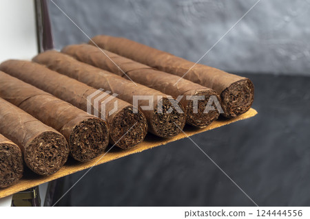 Cigars on a dark background. Product for sale. 124444556
