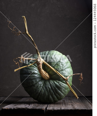 Green textured pumpkin on old wooden table close up 124445068