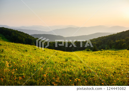 Picturesque summer mountains scenery with vibrant green pastures 124445082
