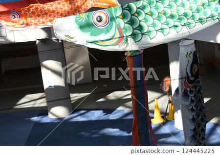 鯉魚旗和影 鯉魚旗和影 124445225