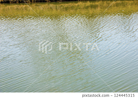 Water surface at sunset, ripples of river or ocean, calm and close-up. Natural background. Abstract background, texture. 124445315