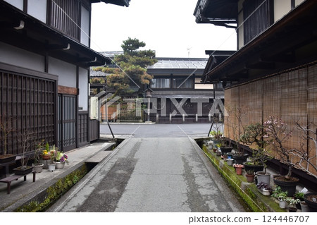 Spring in Gifu Prefecture, Japan: Old streetscape in the center of Takayama city, historic Japanese houses and magnificent pine trees, beautiful bonsai trees on the roadside 124446707