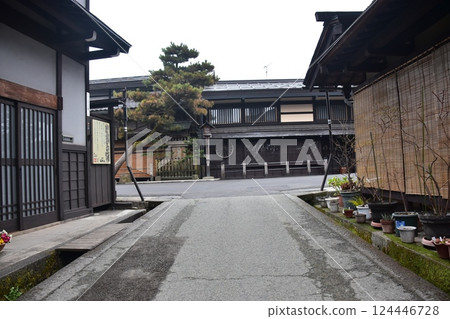 日本岐阜縣的春天。高山市中心的古老街景。歷史悠久的日本房屋和宏偉的松樹。路邊美麗的盆景樹。 124446728