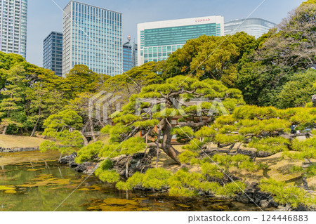 [東京] 春天的濱離宮恩賜庭園 124446883