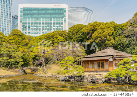 [Tokyo] Hama-rikyu Gardens in Spring 124446884
