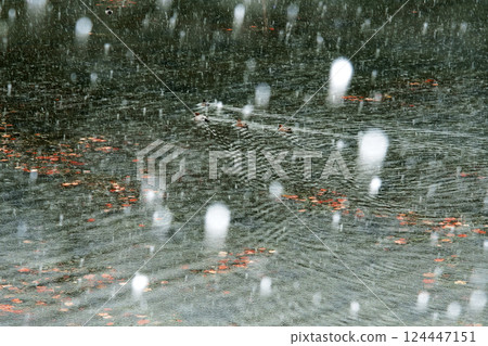 白雪皚皚的皇居櫻田護城河 124447151