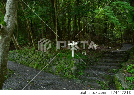 神秘森林中的出雲大神社 124447218