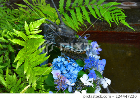 Hydrangea and dragon Hydrangea and dragon 124447220