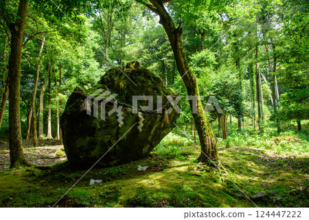 Moss-covered rock formations at Izumo Daijingu Shrine 124447222
