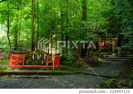 Izumo Daijingu Shrine's Iwakura: Kasuga Shrine and Inari Shrine 124447223