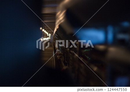 Breeding chickens on a poultry farm for the sale of chicken meat, agribusiness, background 124447550