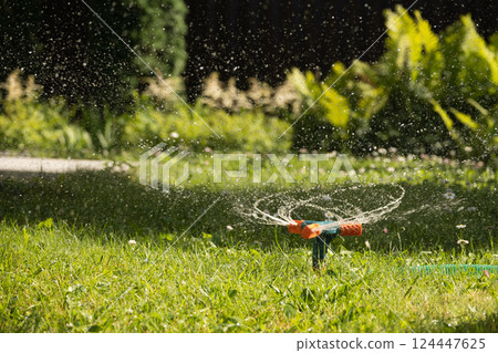 Watering garden with a hose at heat summer. Close up. Automatic smart irrigation system. Green lawn automatic irrigation system in park. 124447625