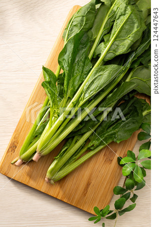 菠菜 菠菜 124447643