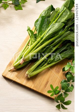 菠菜 菠菜 124447644