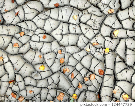 Background of dried cracked earth, dirt. Copy space for text. Ground texture, soil 124447729