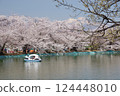 回憶公園櫻花節 124448010