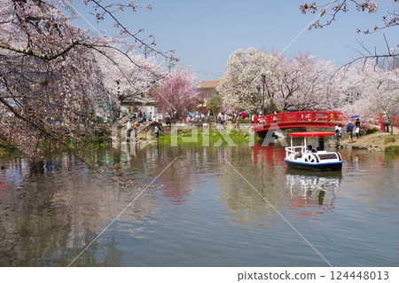 Recollection Park Sakura Festival 124448013