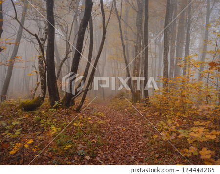 Plitvice Lakes in Croatia during autumn Plitvice Lakes in Croatia during autumn 124448285