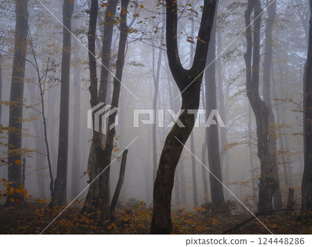 Plitvice Lakes in Croatia during autumn Plitvice Lakes in Croatia during autumn 124448286