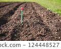 Measurement of soil temperature in a garden bed. 124448527