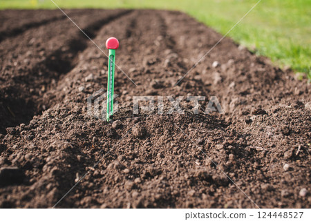 Measurement of soil temperature in a garden bed. Measurement of soil temperature in a garden bed. 124448527