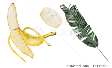 Bananas watercolor set. Hand drawn ripe tropical fruit. Clip art isolated on white background realistic exotic plant. Ideal for designing menus, price tags, labels and packaging of natural cosmetics 124449158