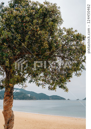 Repulse Bay Beach in Hong Kong Repulse Bay Beach in Hong Kong 124450462