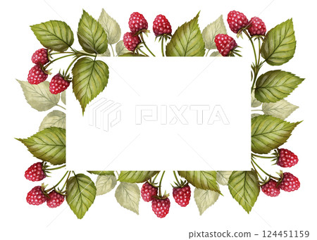 Raspberry frame watercolor illustration Raspberry frame watercolor illustration 124451159