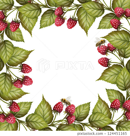 Raspberry frame watercolor illustration 124451165