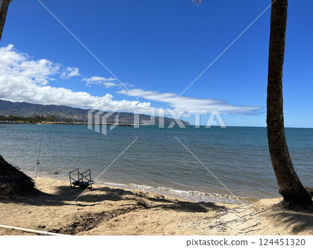 hawaii, beach, beaches 124451320