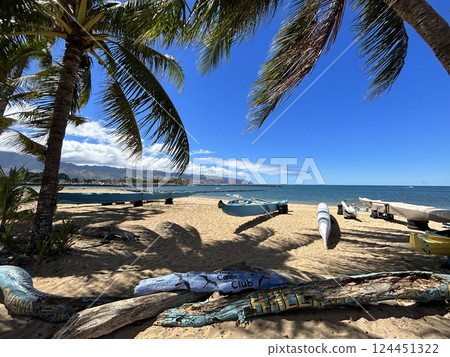 hawaii, beach, beaches 124451322